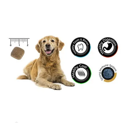 VanDog Kuzulu Pirinçli Köpek Maması 15 KG - 2