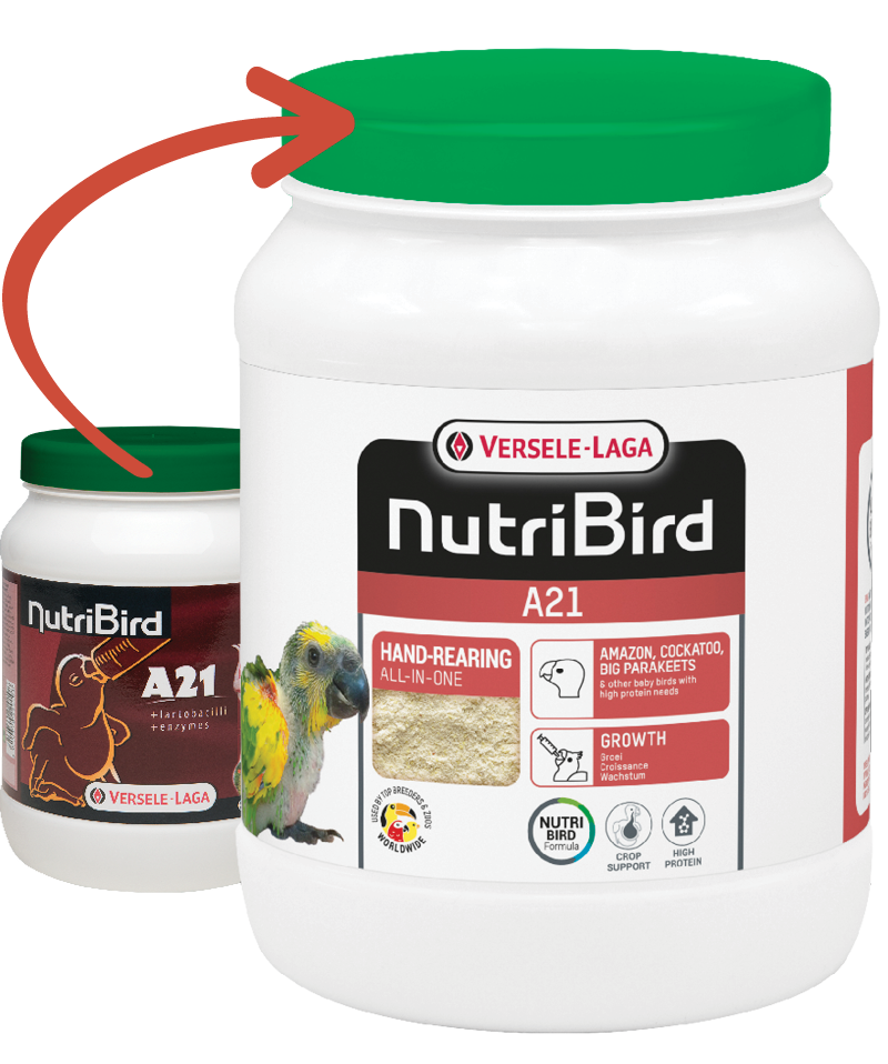 Versele Laga NutriBird A21 Yavru Kuş Elle Besleme Maması 800 gr - 1