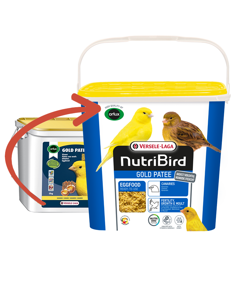 Versele Laga NutriBird Gold Patee Kanarya Yumurta Maması 5 kg - 1