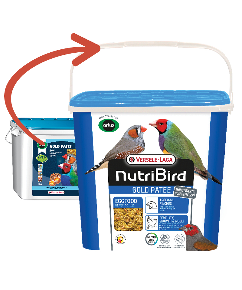 Versele Laga NutriBird Gold Patee Tropical Finches Tropikal Finch Yumurta Maması 5 kg - 2