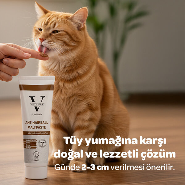 Vetcure Anti Hairball Kedi Tüy Yumağı Önleyici Malt Paste 100 gr - 3