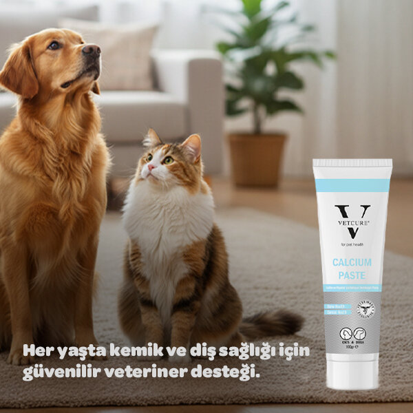Vetcure Calcium Kedi ve Köpek Kemik ve Diş Sağlığı Fosfor ve D3 Desteği Paste 100 gr - 4