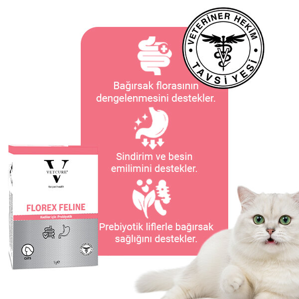 Vetcure Cat Florex Kedi Probiyotik Tablet 1 Gr 30'Lu Kutu - 2