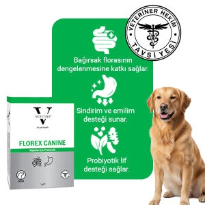 Vetcure Dog Florex Köpek Probiyotik Tablet 1 Gr 30'Lu Kutu - 3