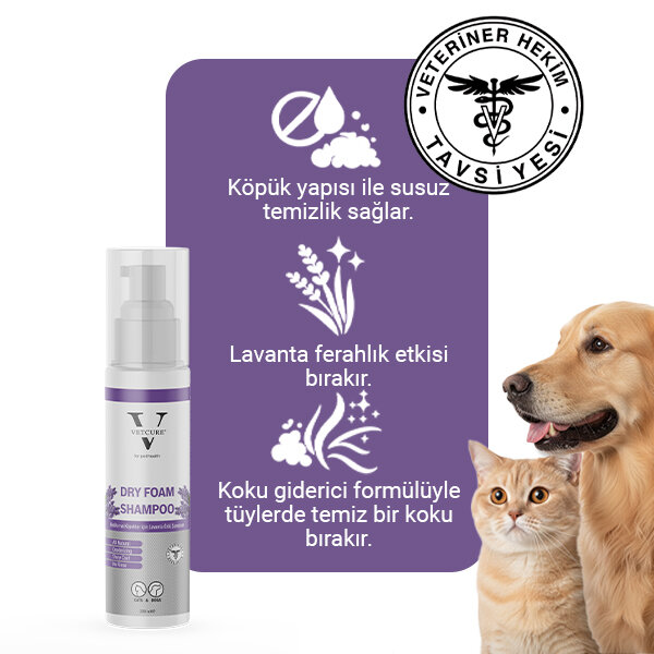 Vetcure Dry Foam Kedi ve Köpekler İçin Lavanta Kokulu Kuru Şampuan 200 ML - 2