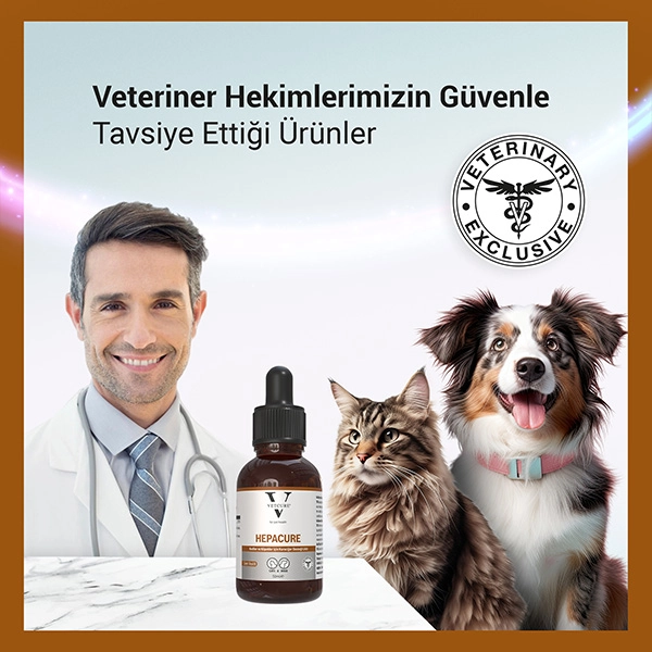 Vetcure Hepacure Kedi ve Köpek Karaciğer Sağlığı Destekleyici Likit 50 ML - 3
