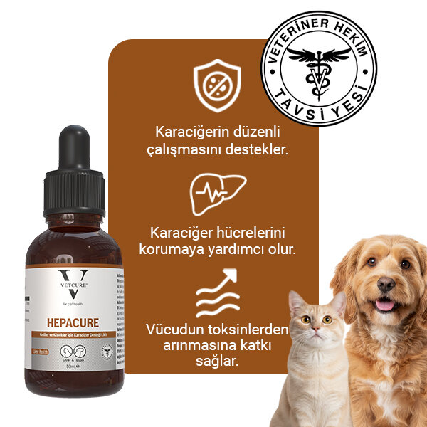 Vetcure Hepacure Kedi ve Köpek Karaciğer Sağlığı Destekleyici Likit 50 ML - 3