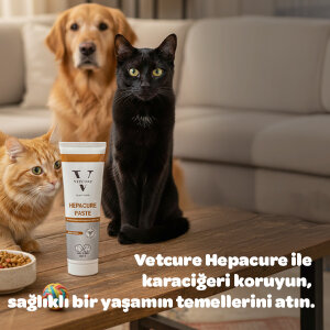 Vetcure Hepacure Kedi ve Köpek Karaciğer Sağlığı Destekleyici Paste 100 gr - 3