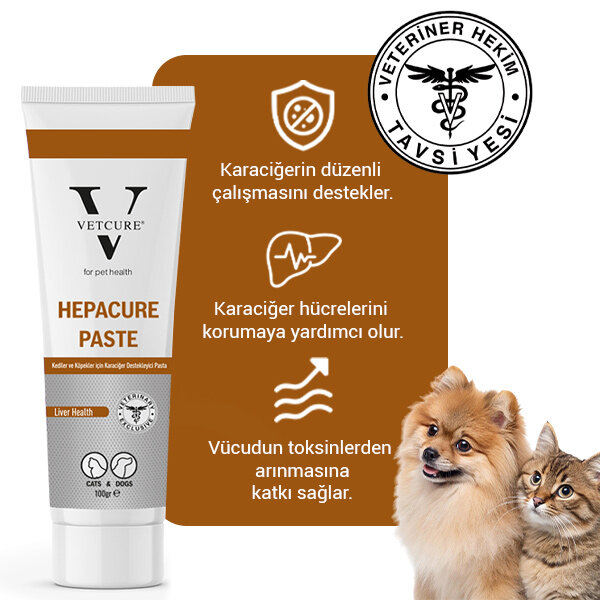 Vetcure Hepacure Kedi ve Köpek Karaciğer Sağlığı Destekleyici Paste 100 gr - 2