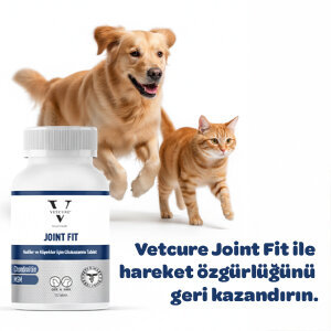 Vetcure Joint Fit Kedi ve Köpek Eklem Kas ve Eklem Sıvısı Sorunları Destekleyici 75 Tablet - 3