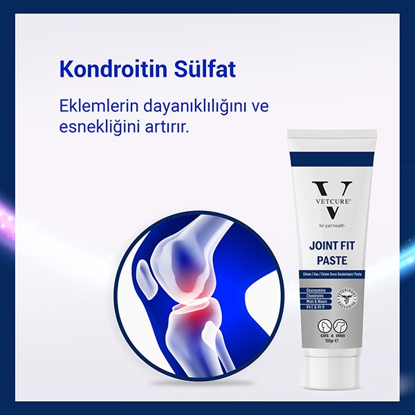 Vetcure Joint Fit Kedi ve Köpek Eklem ve Kas Destekleyici Paste 100 gr - 5