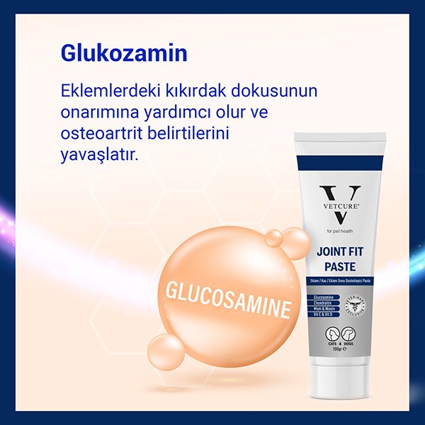 Vetcure Joint Fit Kedi ve Köpek Eklem ve Kas Destekleyici Paste 100 gr - 3