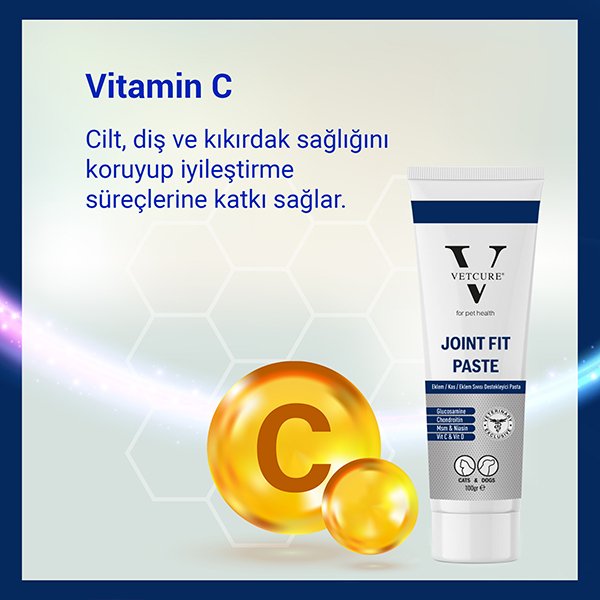 Vetcure Joint Fit Kedi ve Köpek Eklem ve Kas Destekleyici Paste 100 gr - 6