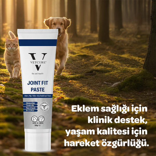 Vetcure Joint Fit Kedi ve Köpek Eklem ve Kas Destekleyici Paste 100 gr - 3