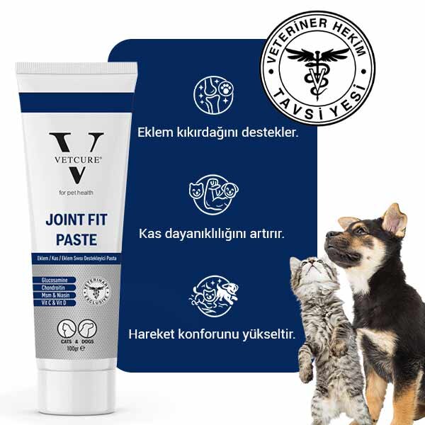 Vetcure Joint Fit Kedi ve Köpek Eklem ve Kas Destekleyici Paste 100 gr - 2