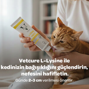Vetcure L-Lysine Kedi Bağışıklık ve Solunum Yolu Destekleyici Paste 100 gr - 3