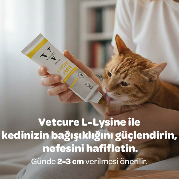 Vetcure L-Lysine Kedi Bağışıklık ve Solunum Yolu Destekleyici Paste 100 gr - 3
