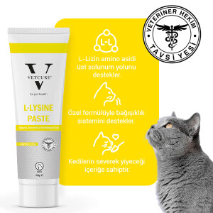 Vetcure L-Lysine Kedi Bağışıklık ve Solunum Yolu Destekleyici Paste 100 gr - 2
