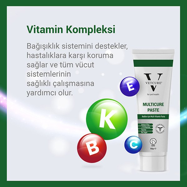 Vetcure Multicure Kedi Multivitamin ve Mineral Desteği Paste 100 gr - 3