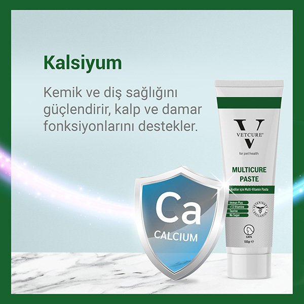 Vetcure Multicure Kedi Multivitamin ve Mineral Desteği Paste 100 gr - 4