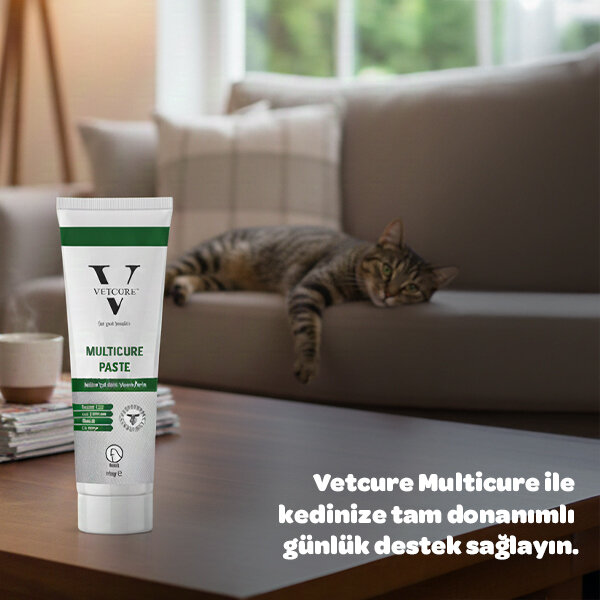 Vetcure Multicure Kedi Multivitamin ve Mineral Desteği Paste 100 gr - 3