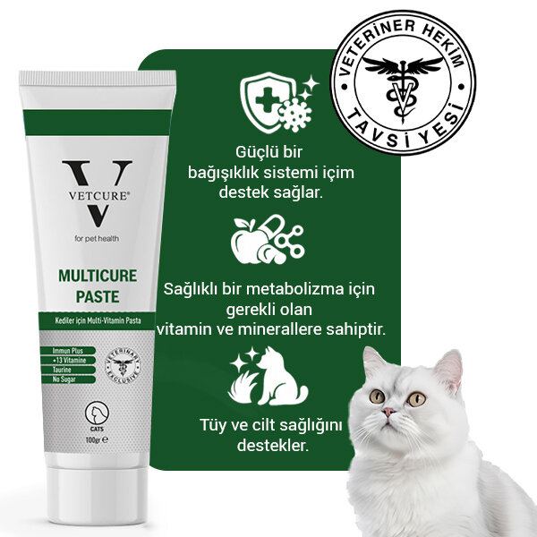 Vetcure Multicure Kedi Multivitamin ve Mineral Desteği Paste 100 gr - 2