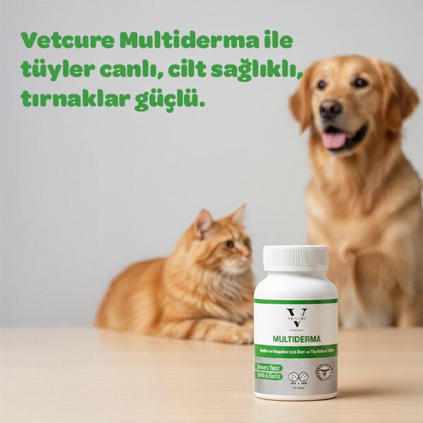Vetcure Multiderma Kedi ve Köpek Deri Tüy ve Tırnak Sağlığı Destekleyici 75 Tablet - 4