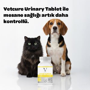 Vetcure Urinary Kedi ve Köpek Akut ve Kronik İdrar Yolu Sağlığı Destekleyici 60 Tablet - 3