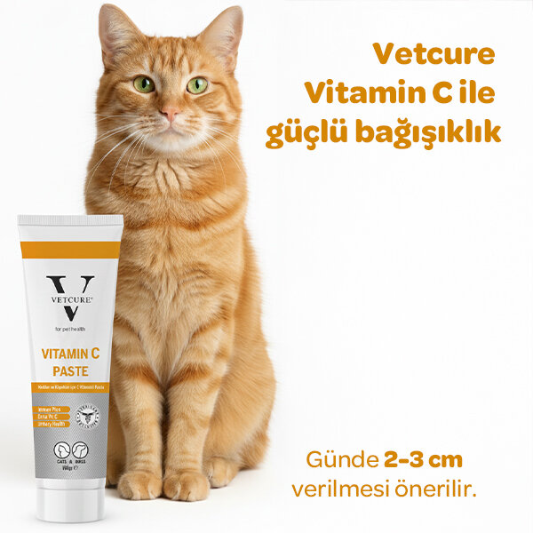Vetcure Vitamin C Kedi ve Köpek C Vitamini Desteği Paste 100 gr - 3
