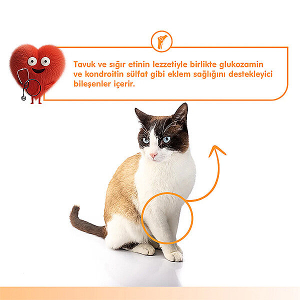 Wanpy Bone Support - Eklem Sağlığı Sığır Et & Tavuk Kedi Krema Ödül Maması 14gr (5'li) - 5