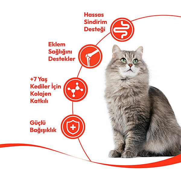 Wanpy Creamy Treat Tavuklu ve Ciğerli 7+ Yaş Kedi Krema Ödül Maması 14gr (5'li) - 2