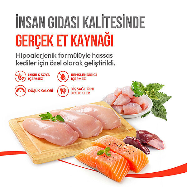 Wanpy Crunchy Pockets Tavuklu ve Kedi Otlu Kedi Ödül Maması 60 g - 3