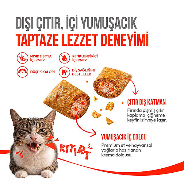 Wanpy Crunchy Pockets Somonlu ve Havyarlı Kedi Ödül Maması 60 g - 2