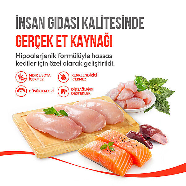 Wanpy Crunchy Pockets Tavuklu Kedi Ödül Maması 60 g - 3