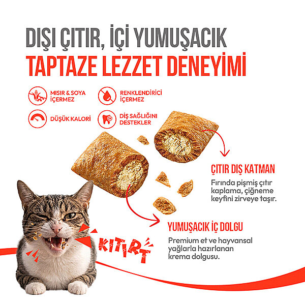 Wanpy Crunchy Pockets Tavuklu Kedi Ödül Maması 60 g - 2
