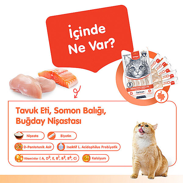Wanpy Digestive Health Somonlu ve Tavuklu Sindirim Desteği Krema Kedi Ödül Maması 14gr (5'li) - 3