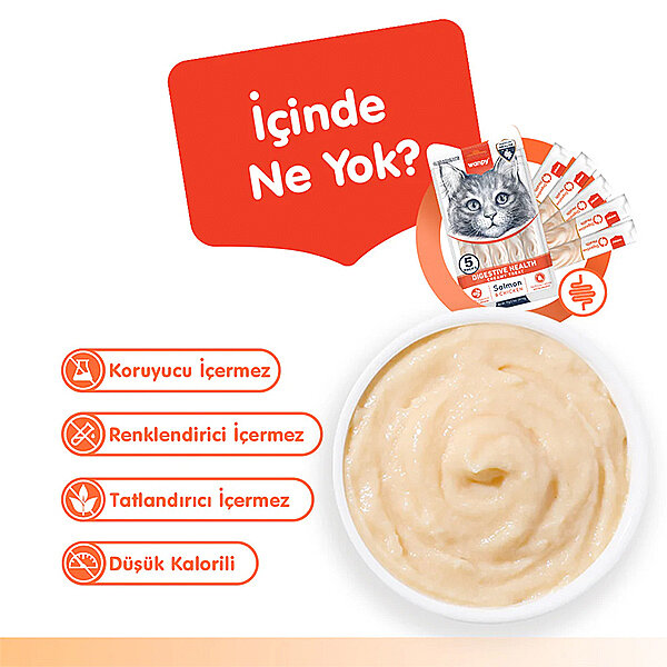 Wanpy Digestive Health Somonlu ve Tavuklu Sindirim Desteği Krema Kedi Ödül Maması 14gr (5'li) - 4