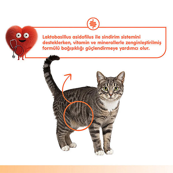 Wanpy Digestive Health Somonlu ve Tavuklu Sindirim Desteği Krema Kedi Ödül Maması 14gr (5'li) - 5