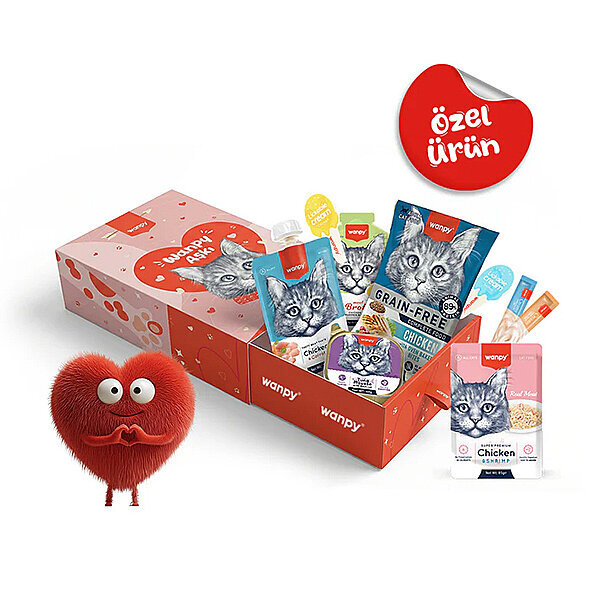 Wanpy Kalp Temalı Kutu Seti Kedi