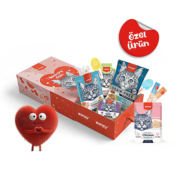 Wanpy Kalp Temalı Kutu Seti Kedi - 1