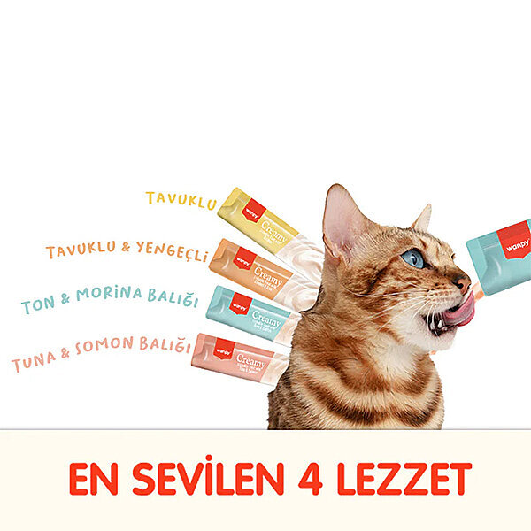 Wanpy Karışık 4 Lezzet 100'lü Krema Kedi Ödülü 100*14 gr - 2