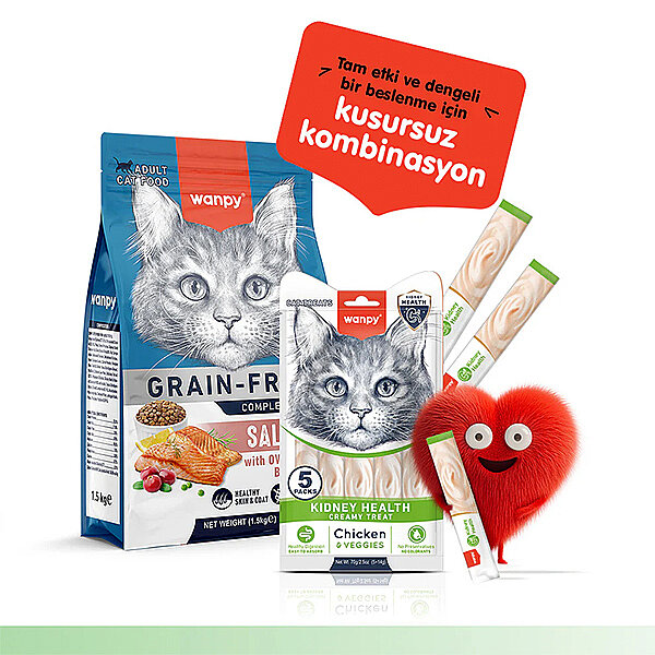 Wanpy Kidney Health Tavuklu ve Sebzeli Böbrek Sağlığı Desteği Krema Kedi Ödül Maması 14gr (5'li) - 6
