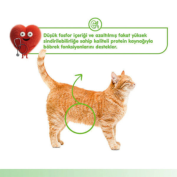 Wanpy Kidney Health Tavuklu ve Sebzeli Böbrek Sağlığı Desteği Krema Kedi Ödül Maması 14gr (5'li) - 5