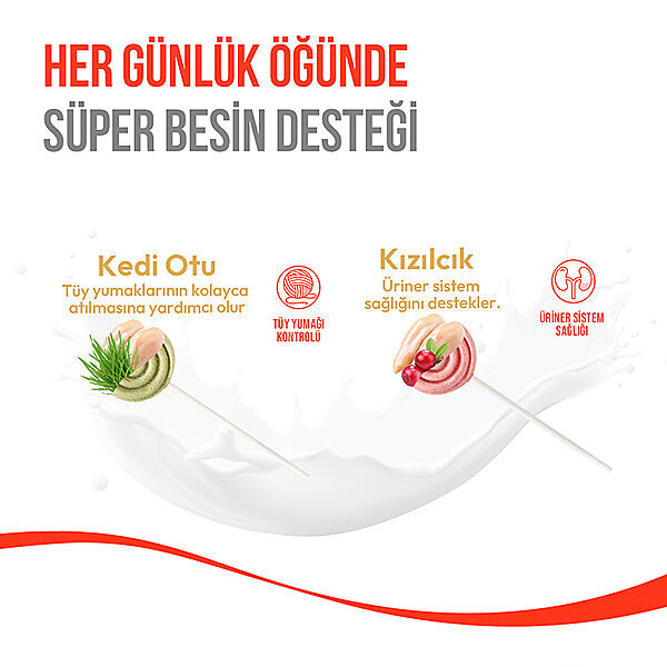 Wanpy LolliPop Kedi Otlu Dondurularak Kurutulmuş Kedi Ödül Maması 1,4 g - 6