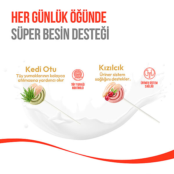 Wanpy LolliPop Kedi Otlu Dondurularak Kurutulmuş Kedi Ödül Maması 1,4 g - 6