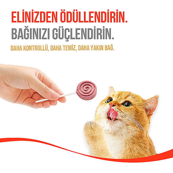 Wanpy LolliPop Kızılcıklı Dondurularak Kurutulmuş Kedi Ödül Maması 1,4 g - 7
