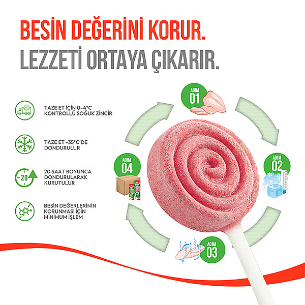 Wanpy LolliPop Kızılcıklı Dondurularak Kurutulmuş Kedi Ödül Maması 1,4 g - 5