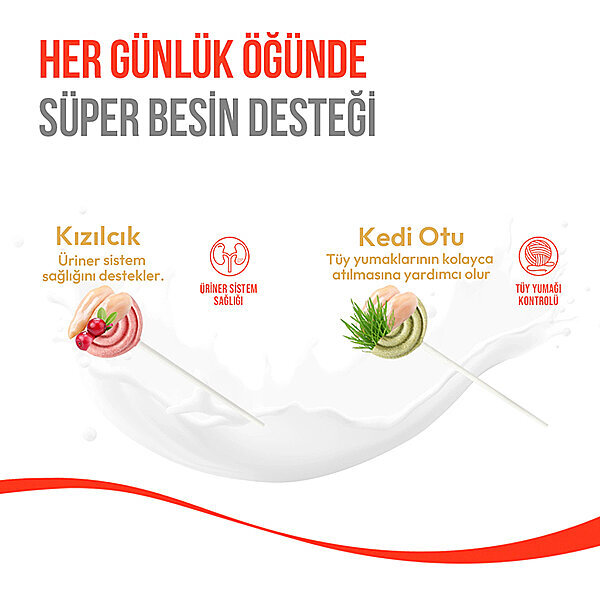 Wanpy LolliPop Kızılcıklı Dondurularak Kurutulmuş Kedi Ödül Maması 1,4 g - 6