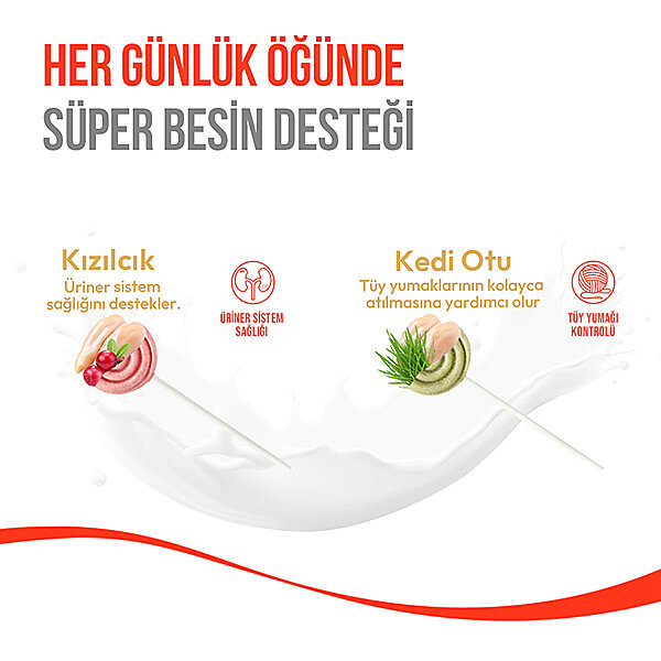 Wanpy LolliPop Kızılcıklı Dondurularak Kurutulmuş Kedi Ödül Maması 1,4 g - 6