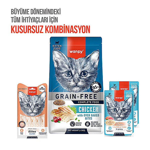 Wanpy Somon Balıklı Krema Yavru Kedi Ödülü 14gr (5'li) - 5